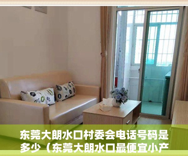 东莞大朗水口村委会电话号码是多少（东莞大朗水口最便宜小产权房《世纪公馆》再现神盘！​超高性价比！R3线地铁口500米，特价2980元平，分期15年）