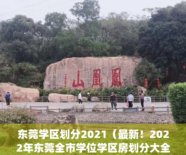 东莞学区划分2021（最新！2022年东莞全市学位学区房划分大全）(2020年东莞小学学区划分)