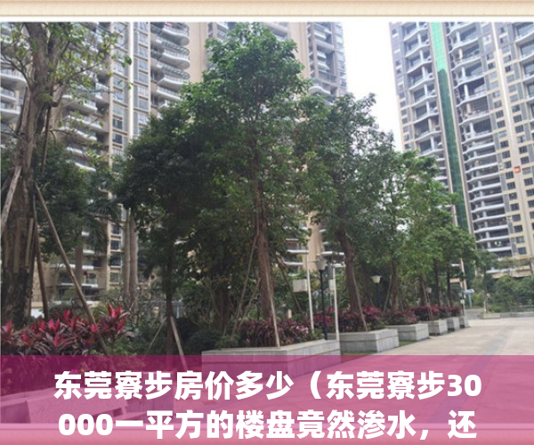 东莞寮步房价多少（东莞寮步30000一平方的楼盘竟然渗水，还长蘑菇）(东莞寮步的房价多少钱一平方米)