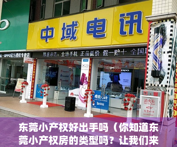 东莞小产权好出手吗（你知道东莞小产权房的类型吗？让我们来看看）(东莞小产权房最新政策2021年)