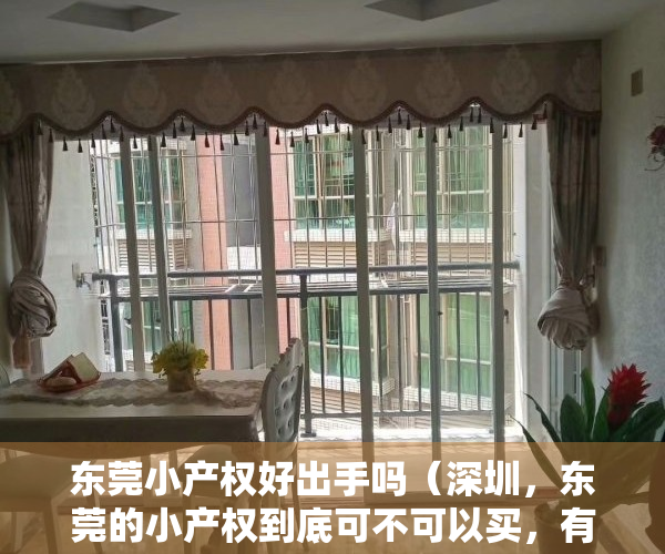 东莞小产权好出手吗（深圳，东莞的小产权到底可不可以买，有买过的朋友吗，或者律师给点意见呗）