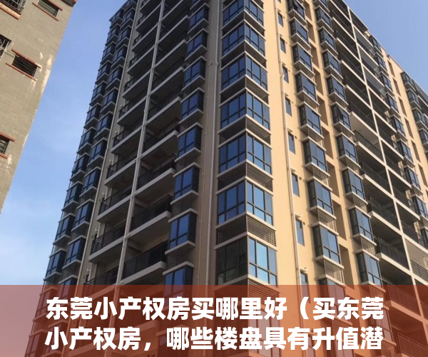 东莞小产权房买哪里好（买东莞小产权房，哪些楼盘具有升值潜力又安全呢？）