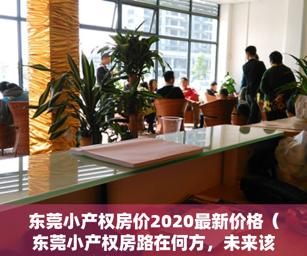 东莞小产权房价2020最新价格（东莞小产权房路在何方，未来该何去何从！）