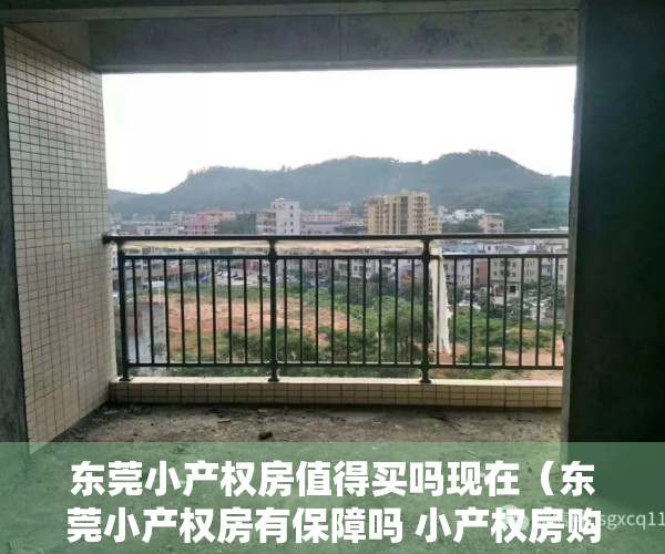 东莞小产权房值得买吗现在（东莞小产权房有保障吗 小产权房购买风险有哪些）