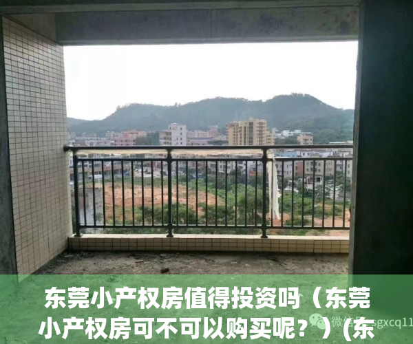 东莞小产权房值得投资吗（东莞小产权房可不可以购买呢？）(东莞小产权好出手吗)