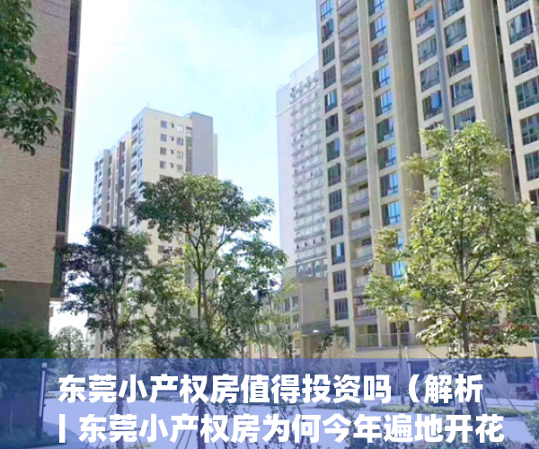 东莞小产权房值得投资吗（解析丨东莞小产权房为何今年遍地开花？）(东莞小产权房最新政策2020阳光网)