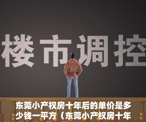 东莞小产权房十年后的单价是多少钱一平方（东莞小产权房十年后的单价是多少？）