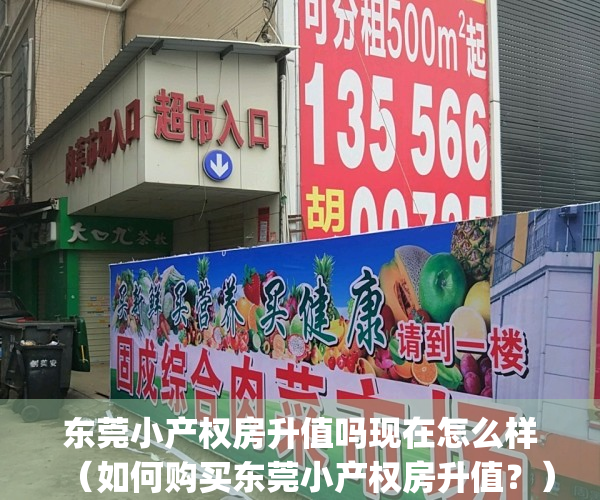 东莞小产权房升值吗现在怎么样（如何购买东莞小产权房升值？）(东莞小产权房值得投资吗)