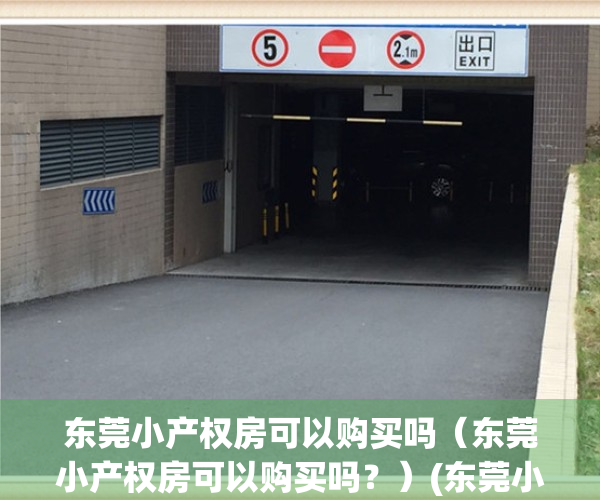 东莞小产权房可以购买吗（东莞小产权房可以购买吗？）(东莞小产权房子能买吗)
