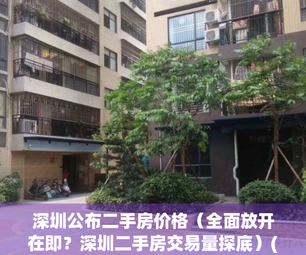深圳公布二手房价格（全面放开在即？深圳二手房交易量探底）(深圳二手房近况)