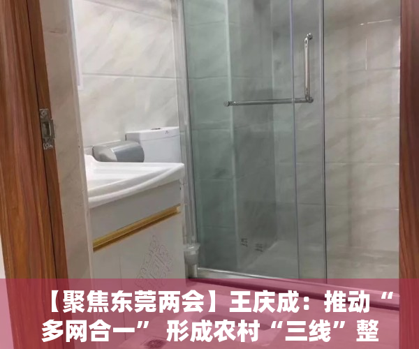 【聚焦东莞两会】王庆成：推动“多网合一” 形成农村“三线”整治长效机制