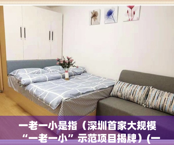 一老一小是指（深圳首家大规模“一老一小”示范项目揭牌）(一老一小 官网)
