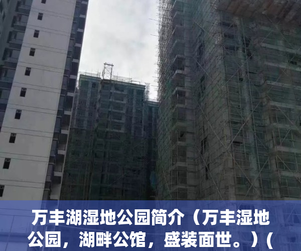万丰湖湿地公园简介（万丰湿地公园，湖畔公馆，盛装面世。）(万丰湖湿地公园好玩吗)