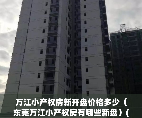 万江小产权房新开盘价格多少（东莞万江小产权房有哪些新盘）(东莞万江小产权二手房出售信息)