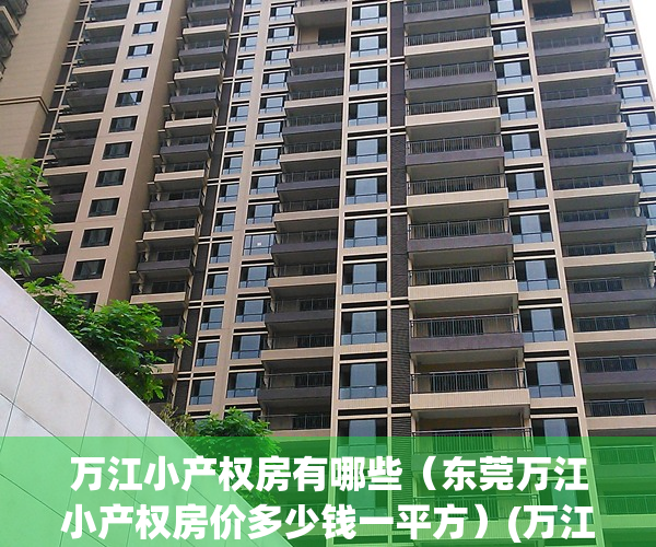 万江小产权房有哪些（东莞万江小产权房价多少钱一平方）(万江附近的小产权房)