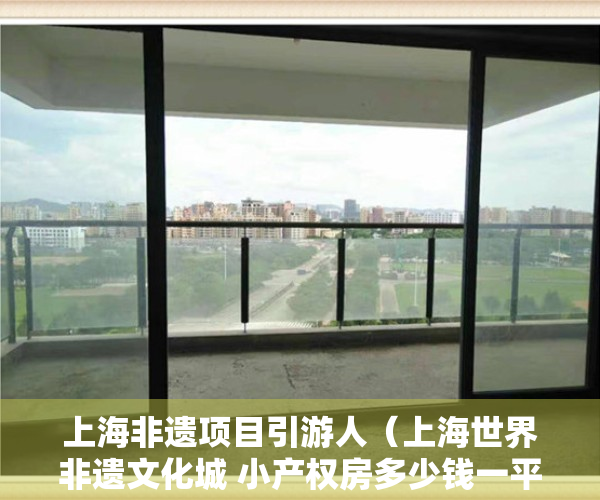 上海非遗项目引游人（上海世界非遗文化城 小产权房多少钱一平）