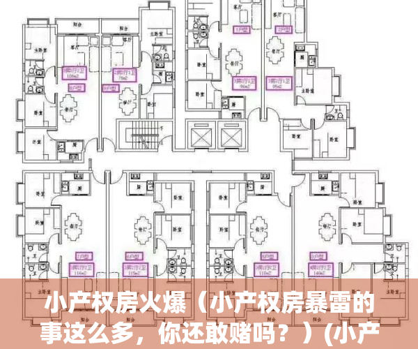 小产权房火爆（小产权房暴雷的事这么多，你还敢赌吗？）(小产权房的灾难来了)