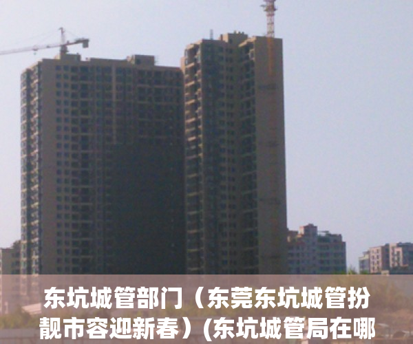 东坑城管部门（东莞东坑城管扮靓市容迎新春）(东坑城管局在哪)