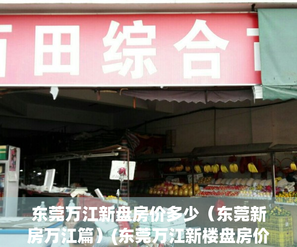东莞万江新盘房价多少（东莞新房万江篇）(东莞万江新楼盘房价)