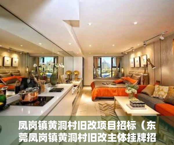 凤岗镇黄洞村旧改项目招标（东莞凤岗镇黄洞村旧改主体挂牌招商 起拍价349亿）