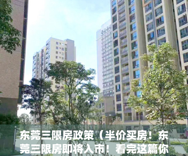 东莞三限房政策（半价买房！东莞三限房即将入市！看完这篇你就懂了！）(东莞正在准备三限房)