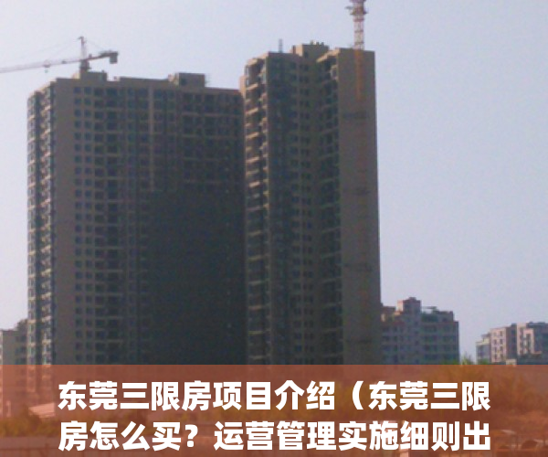 东莞三限房项目介绍（东莞三限房怎么买？运营管理实施细则出炉）(东莞市三限房建设和分配试点方案)