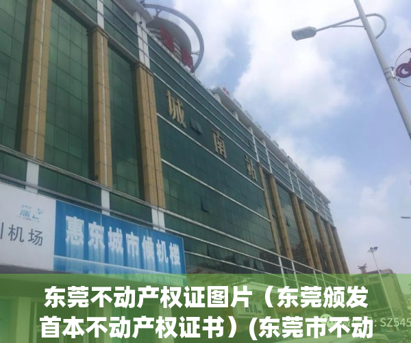 东莞不动产权证图片（东莞颁发首本不动产权证书）(东莞市不动产证查询官网)
