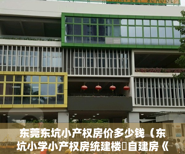 东莞东坑小产权房价多少钱（东坑小学小产权房统建楼​自建房《世纪豪庭》东坑镇中心广场小产权房东坑中心小学旁小产权房​三栋大型统建楼发绿本免费停车位）