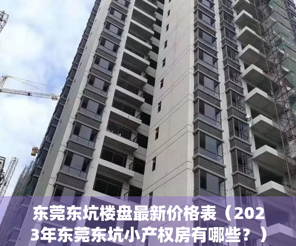 东莞东坑楼盘最新价格表（2023年东莞东坑小产权房有哪些？）(东莞市东坑镇小产权房)
