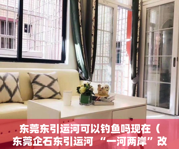 东莞东引运河可以钓鱼吗现在（东莞企石东引运河 “一河两岸”改造初见成效）