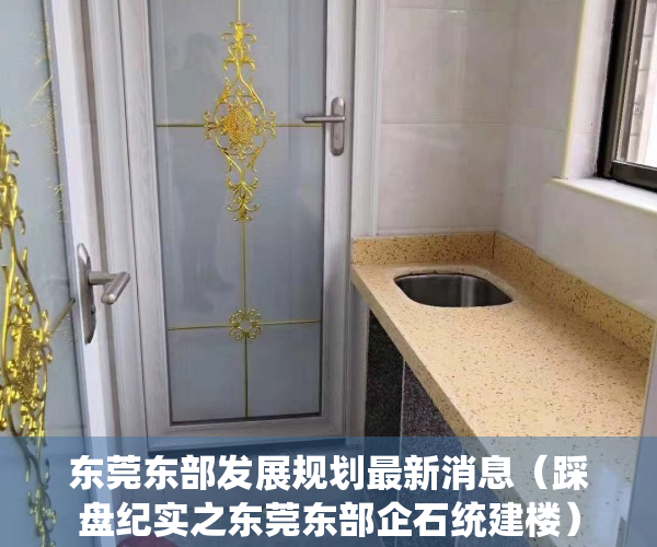 东莞东部发展规划最新消息（踩盘纪实之东莞东部企石统建楼）