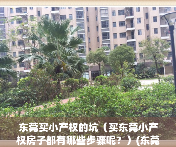 东莞买小产权的坑（买东莞小产权房子都有哪些步骤呢？）(东莞买小产权血本无归)