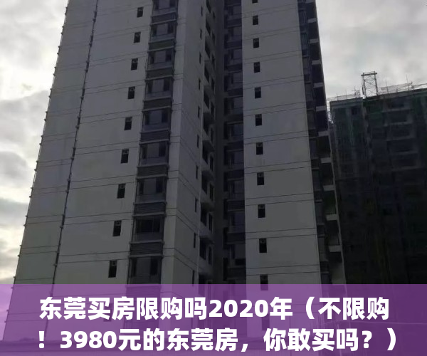 东莞买房限购吗2020年（不限购！3980元的东莞房，你敢买吗？）(2021年东莞买房限购吗)