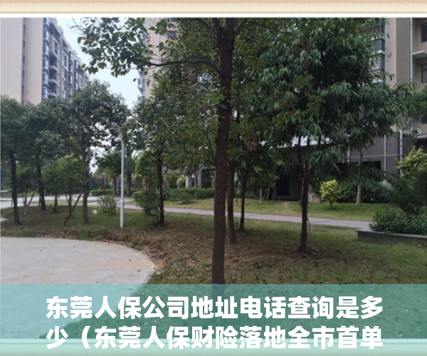 东莞人保公司地址电话查询是多少（东莞人保财险落地全市首单“莞预保”预制菜食品责任保障险）