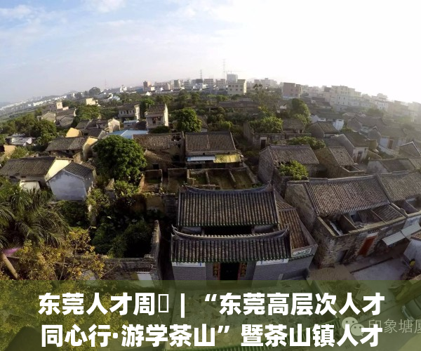 东莞人才周⑯︱“东莞高层次人才同心行·游学茶山”暨茶山镇人才活动周开幕