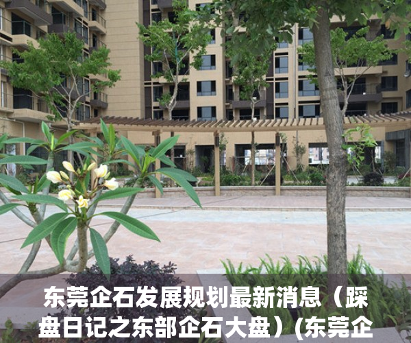 东莞企石发展规划最新消息（踩盘日记之东部企石大盘）(东莞企石镇发展规划)