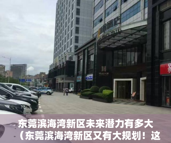 东莞滨海湾新区未来潜力有多大（东莞滨海湾新区又有大规划！这次是世界级的！）