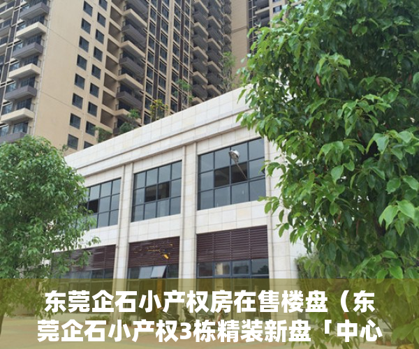 东莞企石小产权房在售楼盘（东莞企石小产权3栋精装新盘「中心花园」马路边第一排 封闭式小区 总价298万 分期10年 在售卖很好新开盘性价比高利息低集资房）