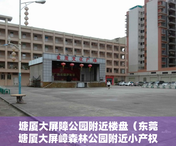 塘厦大屏障公园附近楼盘（东莞塘厦大屏嶂森林公园附近小产权房【黎光雅苑】湖景房特价4780一平）