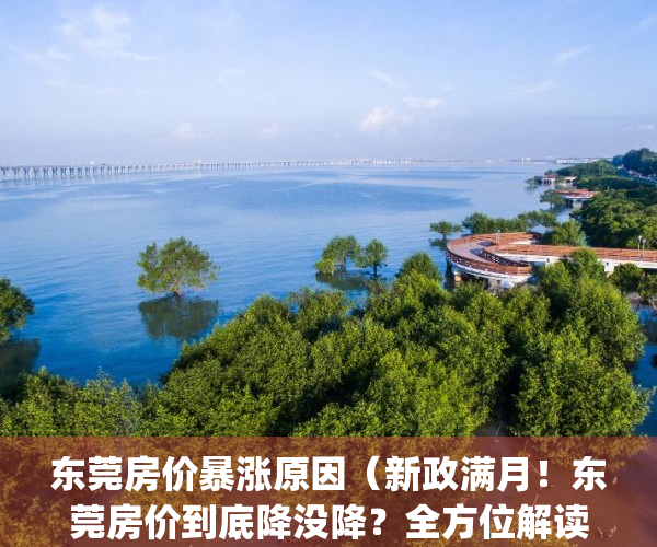 东莞房价暴涨原因（新政满月！东莞房价到底降没降？全方位解读来了！）(东莞房价猛涨怎么回事)