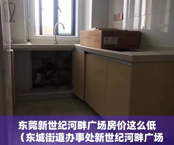 东莞新世纪河畔广场房价这么低（东城街道办事处新世纪河畔广场值得买么？这篇小区评测里全都有）