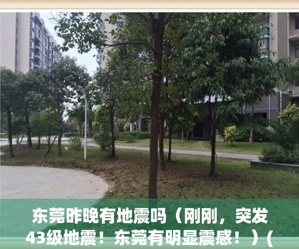 东莞昨晚有地震吗（刚刚，突发43级地震！东莞有明显震感！）(东莞昨天地震了吗)