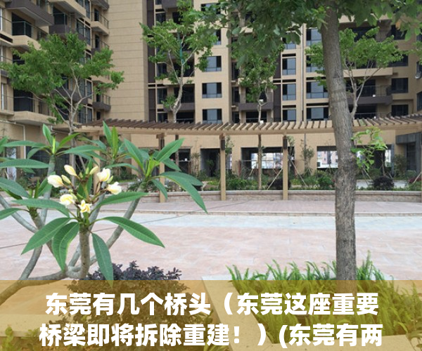 东莞有几个桥头（东莞这座重要桥梁即将拆除重建！）(东莞有两个桥头吗)