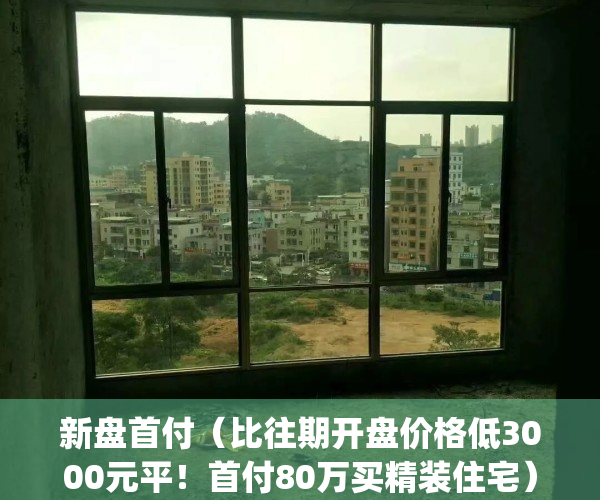 新盘首付（比往期开盘价格低3000元平！首付80万买精装住宅）(新楼盘首付多少钱)