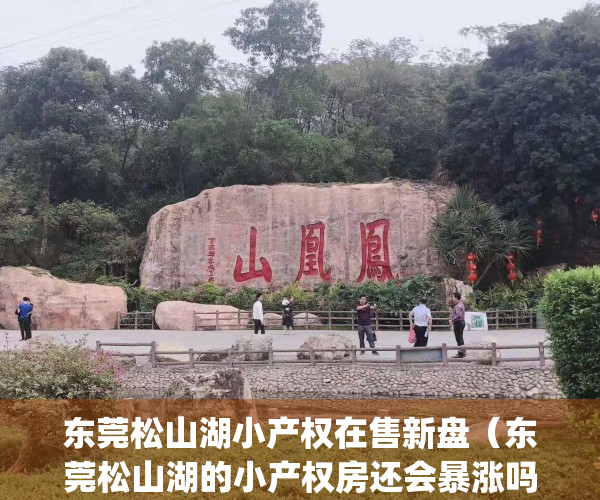 东莞松山湖小产权在售新盘（东莞松山湖的小产权房还会暴涨吗？）(东莞松山湖附近小产权怎么样)