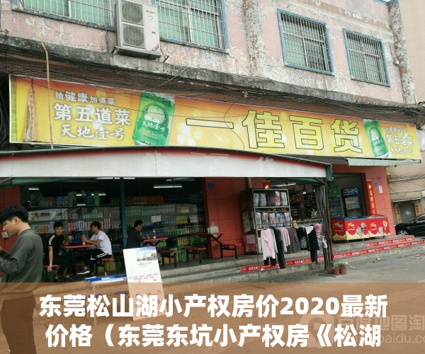 东莞松山湖小产权房价2020最新价格（东莞东坑小产权房《松湖嘉年华》全球最低价 3580元起 路边第一排）
