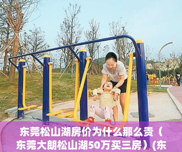 东莞松山湖房价为什么那么贵（东莞大朗松山湖50万买三房）(东莞松山湖房价多少钱)
