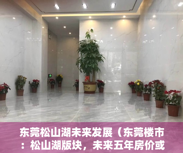 东莞松山湖未来发展（东莞楼市：松山湖版块，未来五年房价或超乎想象）