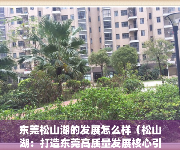 东莞松山湖的发展怎么样（松山湖：打造东莞高质量发展核心引擎）(东莞松山湖片区开发经验)