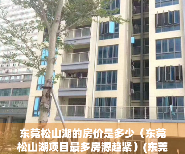 东莞松山湖的房价是多少（东莞松山湖项目最多房源趋紧）(东莞松山湖房价2021最新价格多少一平方)